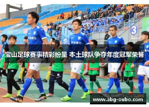 宝山足球赛事精彩纷呈 本土球队争夺年度冠军荣誉