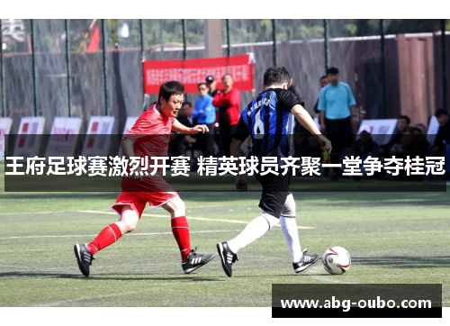王府足球赛激烈开赛 精英球员齐聚一堂争夺桂冠
